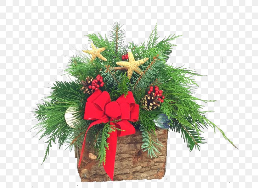Pine Fir Christmas Decoration Evergreen Flower, PNG, 800x600px, Pine, Christmas, Christmas Decoration, Christmas Ornament, Conifer Download Free