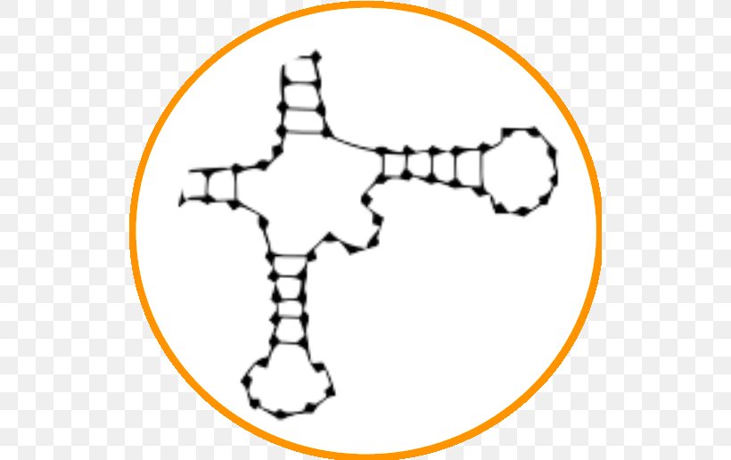 Bioinformatics Protein Secondary Structure Protein Structure Prediction Master's Degree Biology