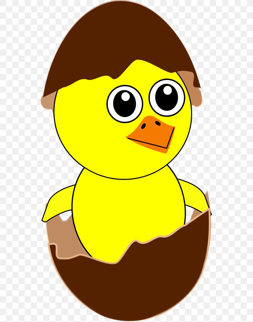 Chicken Cartoon Egg Clip Art, PNG, 555x1043px, Chicken, Artwork, Beak, Bird, Cartoon Download Free