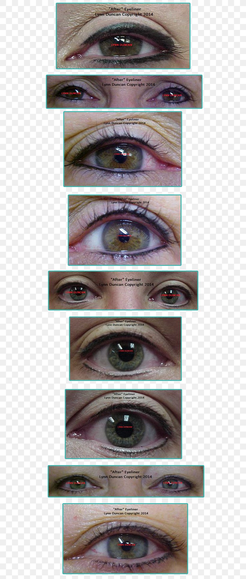 Eye Shadow Eyebrow Eye Liner Eyelash Lip Liner, PNG, 650x1932px, Watercolor, Cartoon, Flower, Frame, Heart Download Free