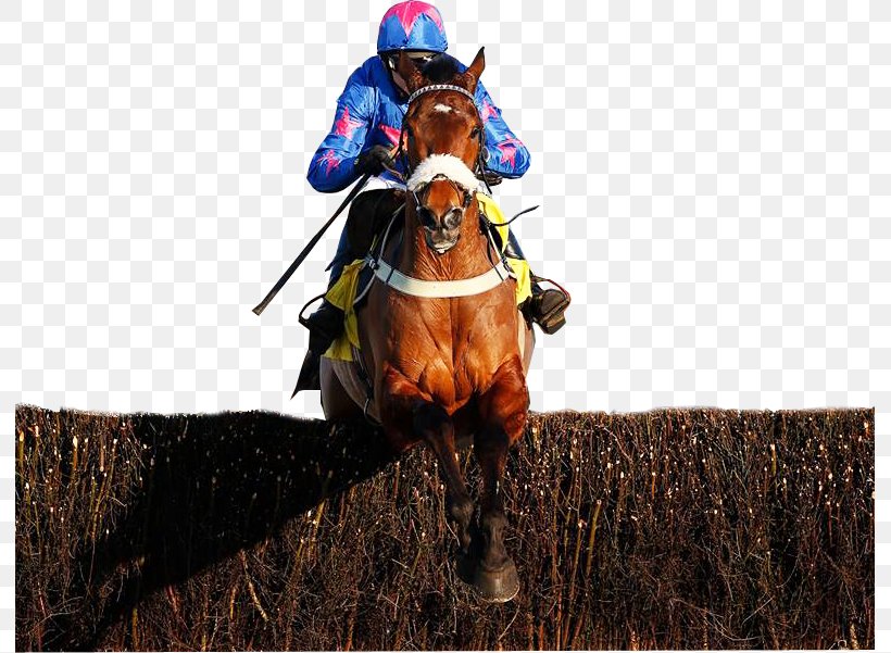 Horse Racing Jockey Betfair Chase Cheltenham Gold Cup, PNG, 791x601px, Horse, Adventure, Betfair Chase, Cheltenham Gold Cup, Cue Card Download Free
