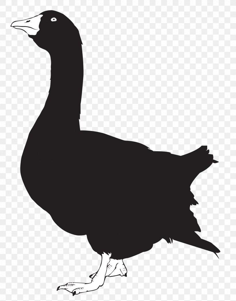 Duck Goose Silhouette Chicken, PNG, 2000x2545px, Duck, Animal, Beak, Bird, Black And White Download Free