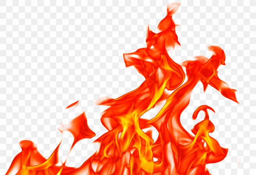 Fire Flame, PNG, 2480x1694px, Fire, Flame, Heat, Orange, Red Download Free