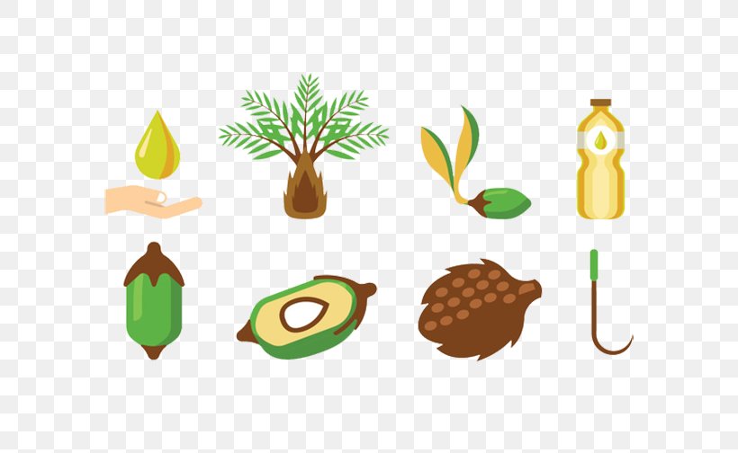 Fruit Arecaceae Palm Oil Illustration, PNG, 720x504px, Fruit, Arecaceae, Coconut, Coconut Oil, Food Download Free