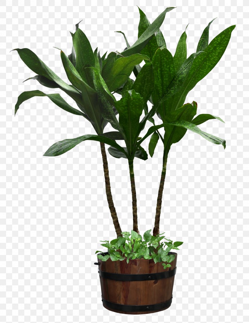 Houseplant Flowerpot, PNG, 1140x1480px, Plant, Creative Market ...