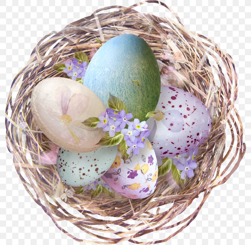 Nest Egg Image Clip Art, PNG, 788x800px, Watercolor, Cartoon, Flower, Frame, Heart Download Free