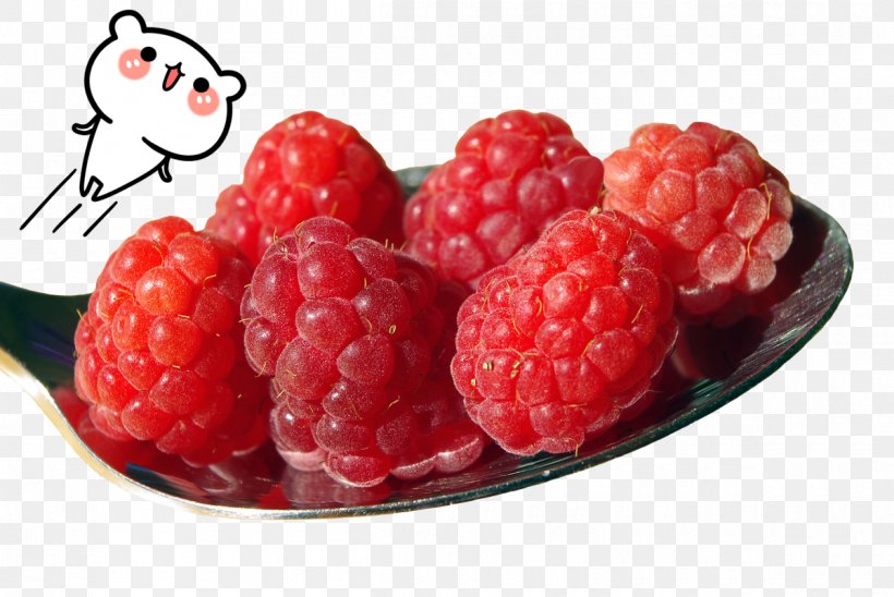 Raspberry Ketone Fruit Sweetness, PNG, 1200x803px, Raspberry, Berry, Diet, Eating, Egg Download Free