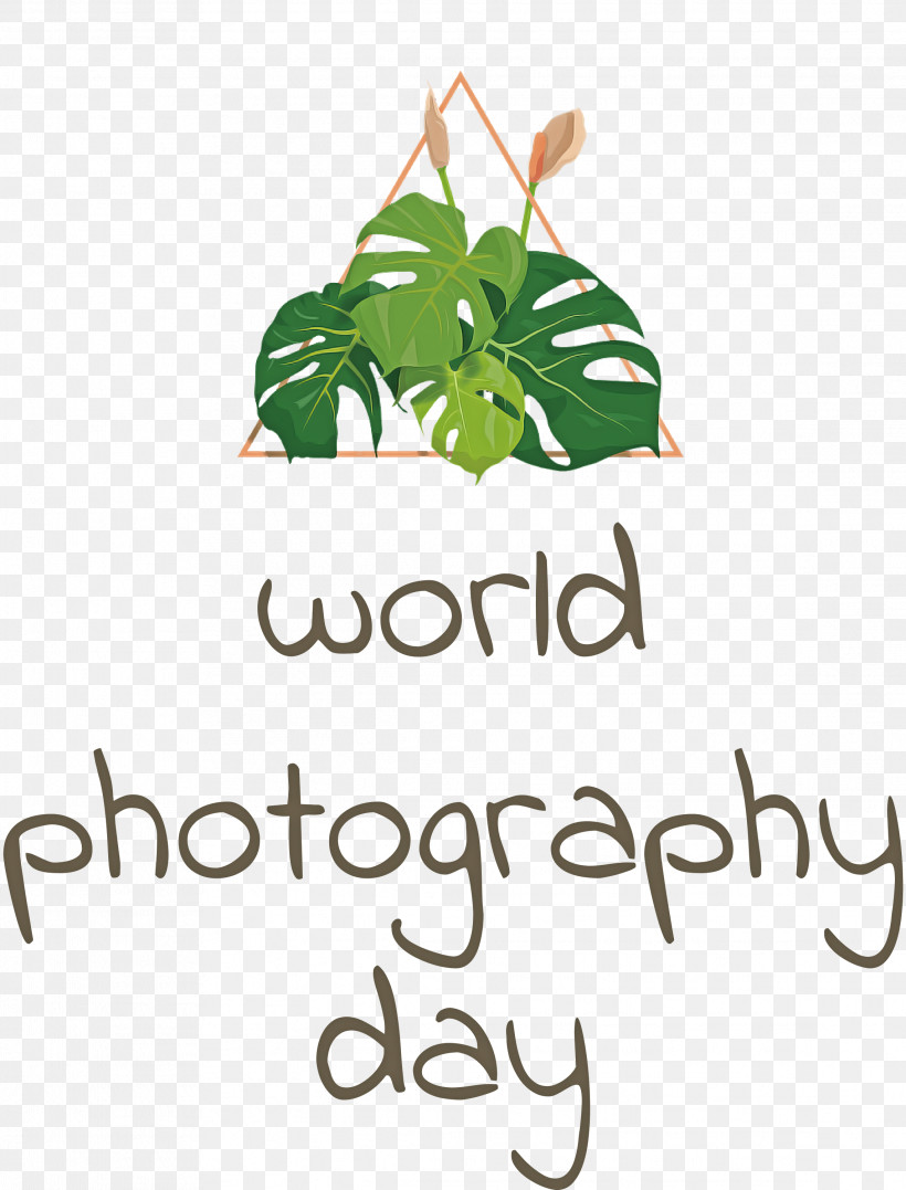 World Photography Day Photography Day, PNG, 2284x3000px, World Photography Day, Biology, Branching, Leaf, Logo Download Free