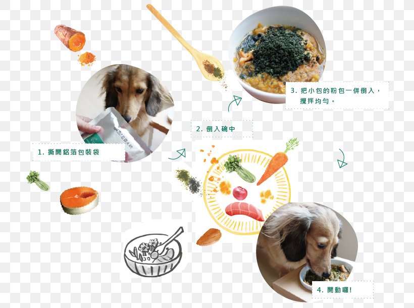 Dog Breed Food 解冻 Turkey Meat, PNG, 729x610px, Dog Breed, Antioxidant, Carbohydrate, Dog, Dog Like Mammal Download Free