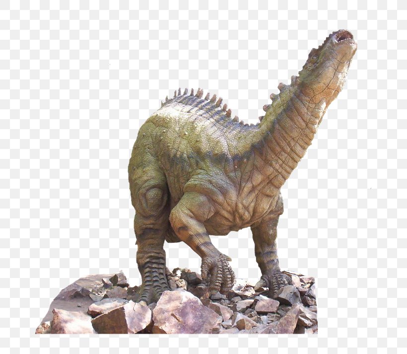 Tyrannosaurus Dinosaur Velociraptor Animal Clip Art, PNG, 800x713px, Tyrannosaurus, Animal, Dinosaur, Dragon, Extinction Download Free