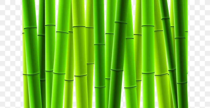 Bamboo Euclidean Vector Tree, PNG, 650x425px, Bamboo, Art, Bamboe, Forest, Grass Download Free