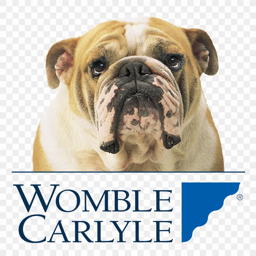 Cat Dog Puppy Womble Bond Dickinson, PNG, 1949x1949px, Cat, British Bulldogs, Bulldog, Business, Carnivoran Download Free