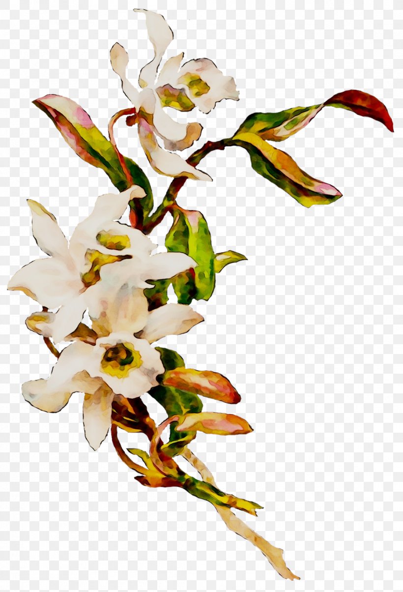 Clip Art Flower Image Desktop Wallpaper, PNG, 1111x1632px, Flower, Artificial Flower, Botany, Branch, Cut Flowers Download Free
