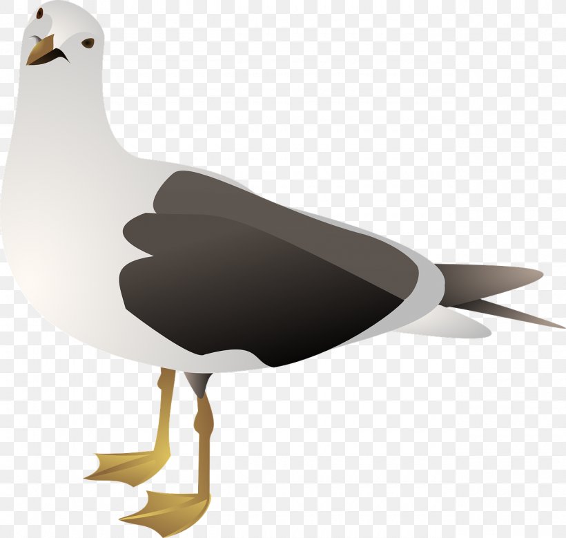 Gulls European Herring Gull Bird Clip Art, PNG, 1280x1216px, Gulls, American Herring Gull, Art, Beak, Bird Download Free