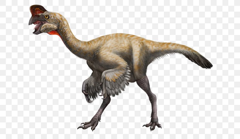 Velociraptor Struthiomimus Oviraptor Styracosaurus Muttaburrasaurus, PNG, 750x477px, Velociraptor, Arroword, Beak, Cretaceous, Crossword Download Free