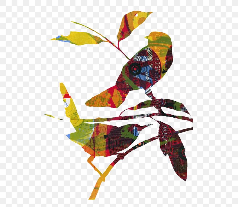 Bird Paper Collage Illustration, PNG, 564x711px, Bird, Art, Beak, Collage, Fanpopcom Download Free
