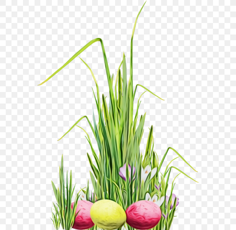 Easter Egg, PNG, 562x800px, Watercolor, Aquarium Decor, Chives, Easter Egg, Flower Download Free