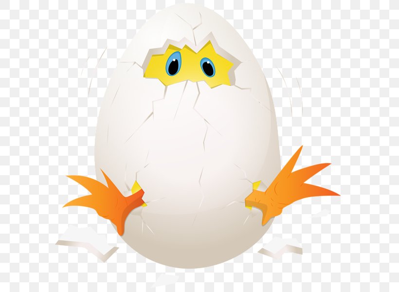 Chicken Egg Chicken Egg Clip Art, PNG, 599x600px, Chicken, Beak, Bird, Chicken Egg, Chicken Or The Egg Download Free
