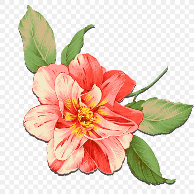 Petal Pink Flowers, PNG, 945x945px, Petal, Blossom, Dahlia, Floral Design, Floristry Download Free