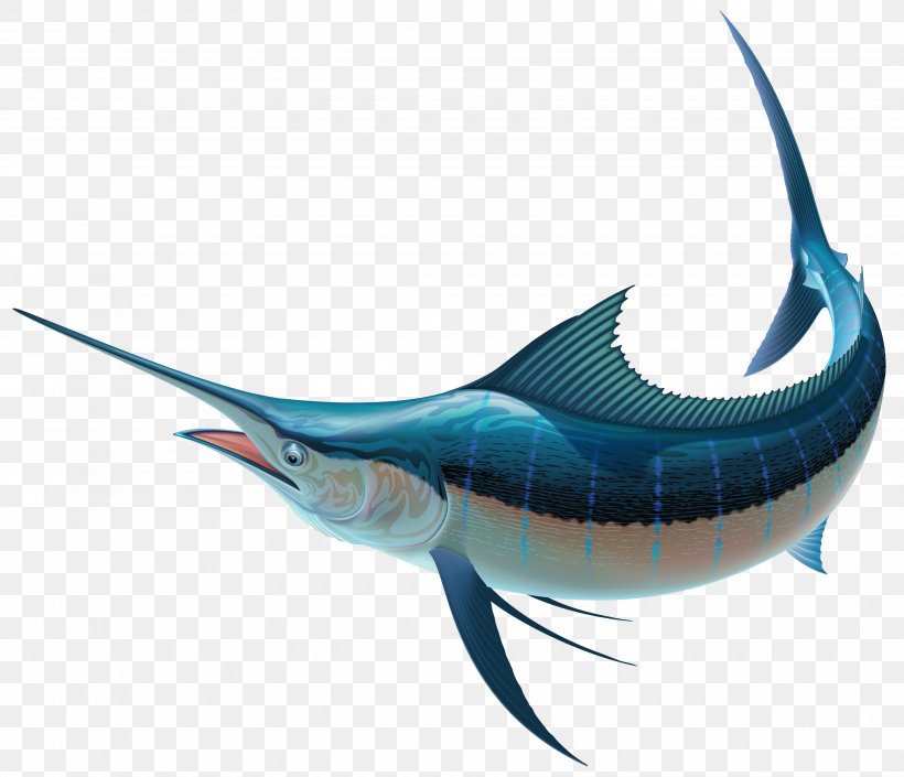 Swordfish Recreational Fishing Sailfish Clip Art, PNG, 3500x3010px, Swordfish, Atlantic Bluefin Tuna, Billfish, Bony Fish, Cartilaginous Fish Download Free