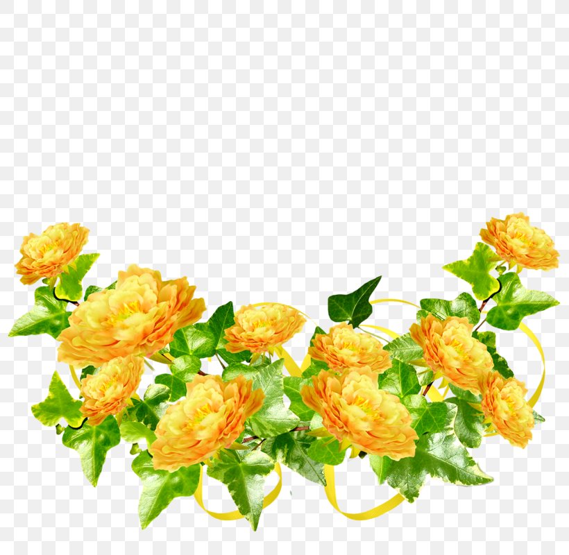 Garden Roses Flower Picture Frames Yellow, PNG, 800x800px, Garden Roses, Annual Plant, Cut Flowers, Data, Floral Design Download Free
