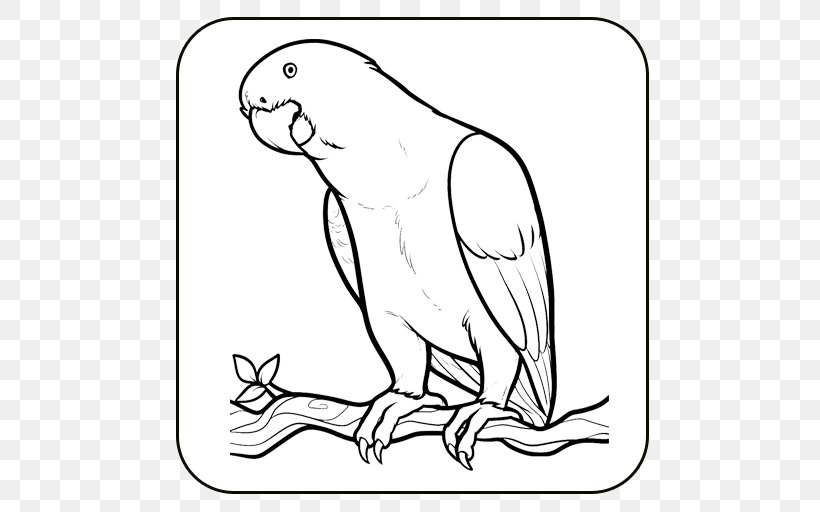 How To Draw Bird Drawing Image Coloring Book, PNG, 512x512px, How To Draw, Art, Artwork, Beak, Bird Download Free