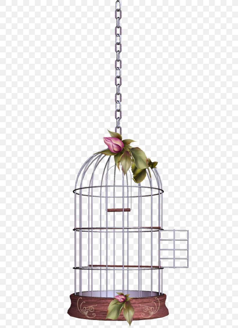 Lovebird Birdcage, PNG, 480x1129px, Bird, Bird Nest, Bird Supply, Birdcage, Cage Download Free