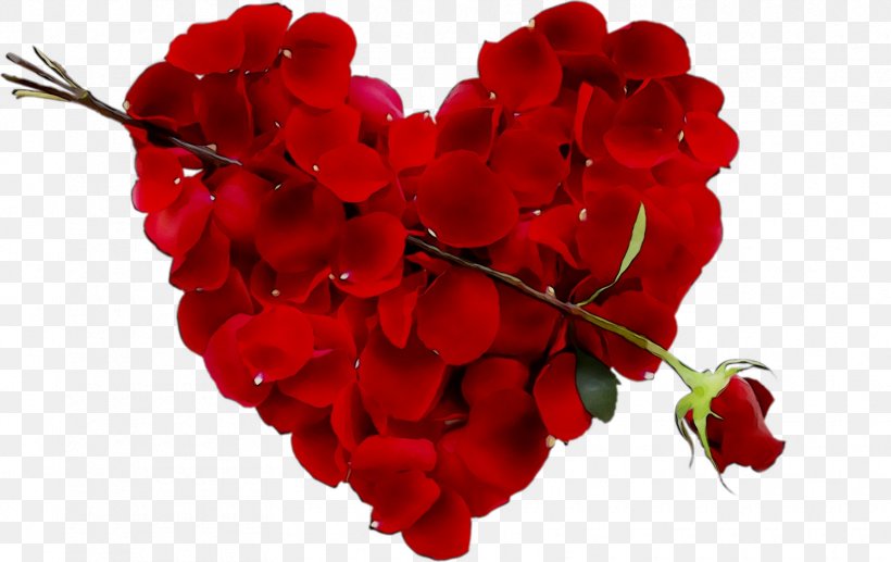 Stock Photography Image Heart Stock.xchng, PNG, 1670x1053px, Stock Photography, Bougainvillea, Cut Flowers, Flower, Flowering Plant Download Free