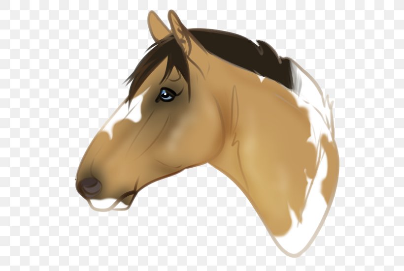 Mane Mustang Pony Halter Stallion, PNG, 635x551px, Mane, Bit, Bridle, Brown, Cartoon Download Free