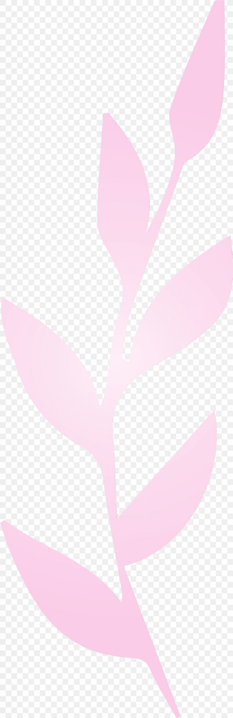 Petal Leaf Pink M Font Meter, PNG, 977x3000px, Leaf Cartoon, Biology, Leaf, Leaf Abstract, Leaf Clipart Download Free