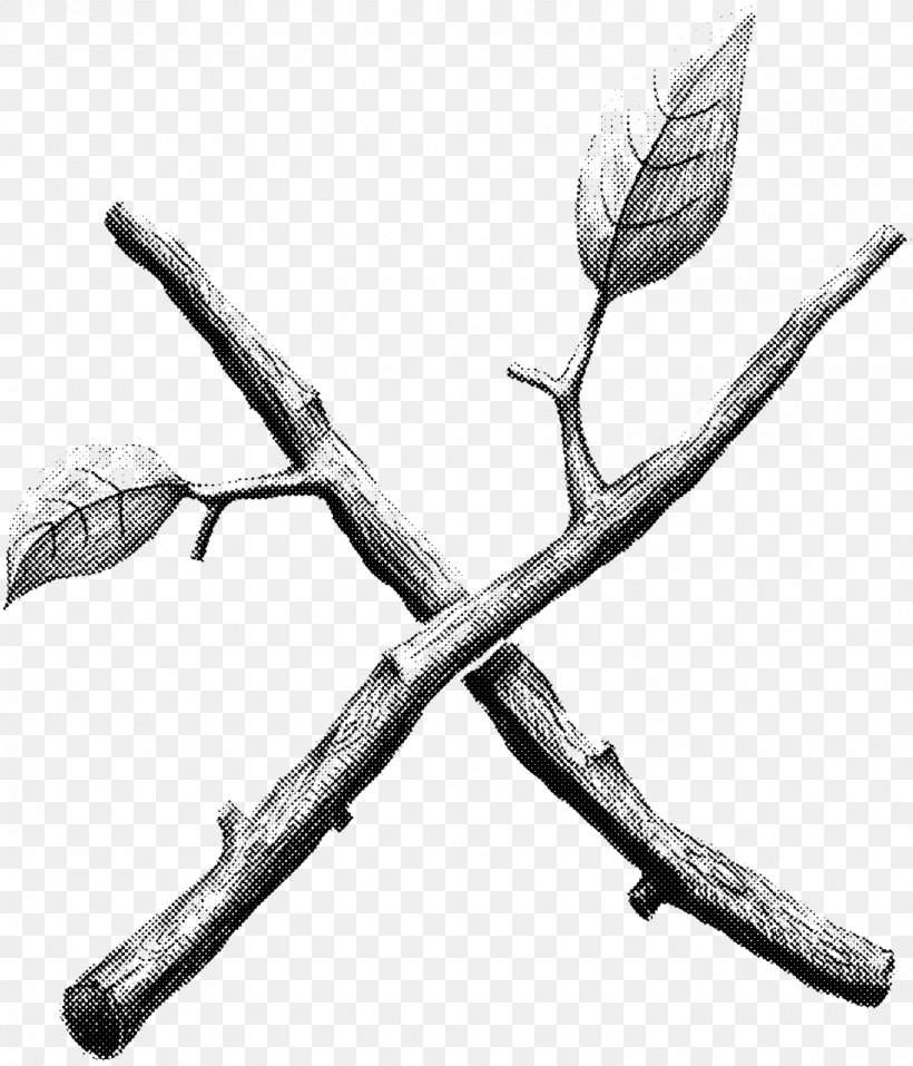 Twig Drawing Plant Stem Leaf /m/02csf, PNG, 1500x1751px, Twig, Black And White, Branch, Cold Weapon, Drawing Download Free