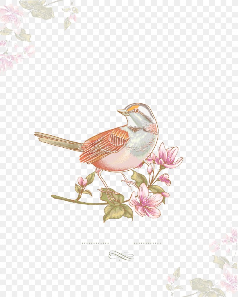 Bird Blossom, PNG, 1024x1274px, Bird, Art, Beak, Botanical Illustration, Branch Download Free