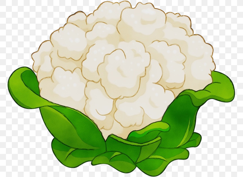 Floral Design, PNG, 770x598px, Watercolor, Cauliflower, Cut Flowers, Floral Design, Flower Download Free