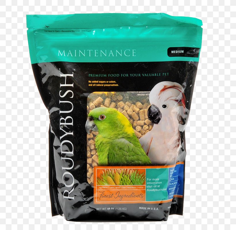 Parrot Roudybush Inc MINI Cooper Budgerigar Bird, PNG, 800x800px, Parrot, Beak, Bird, Bird Food, Bird Supply Download Free