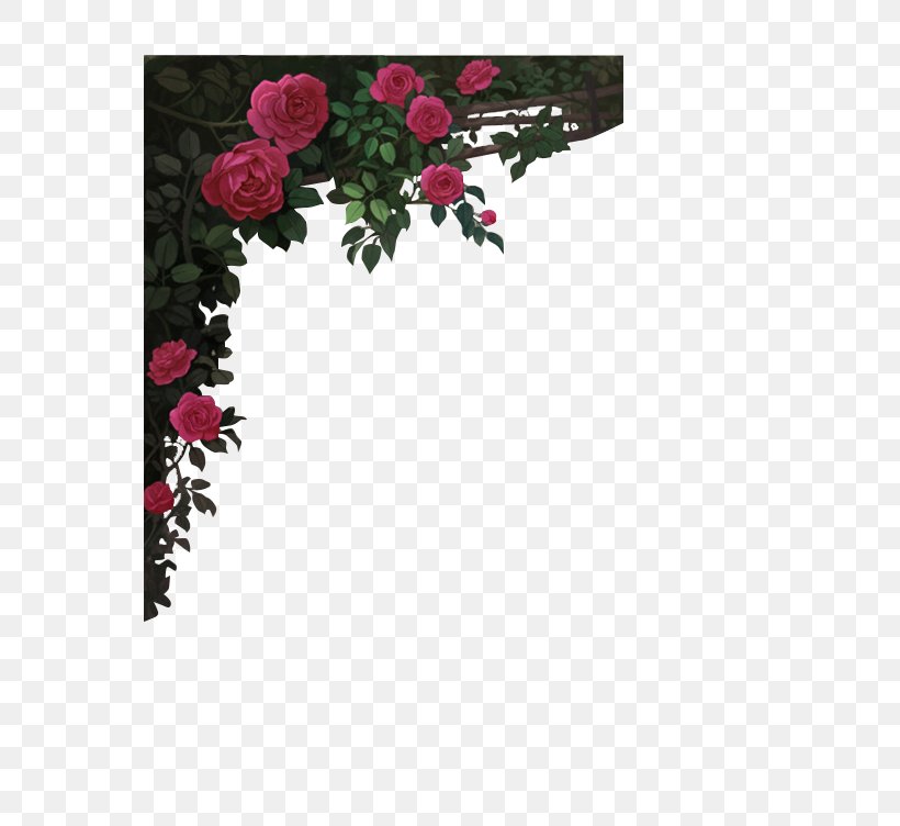 Red Wine Garden Roses Rosé Picture Frame, PNG, 636x752px, Red Wine, Flora, Flower, Flowering Plant, Garden Roses Download Free
