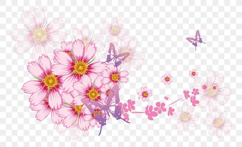 Birthday Image Holiday Flower, PNG, 800x498px, Birthday, Blossom, Branch, Cherry Blossom, Chrysanths Download Free