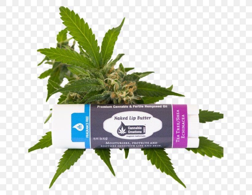 Cannabis Herb, PNG, 635x635px, Cannabis, Hemp, Hemp Family, Herb, Herbal Download Free