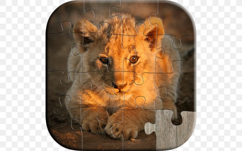 Lion Stock Photography Animal Babies Jigsaw Puzzles Game, PNG, 512x512px, Lion, Big Cat, Big Cats, Can Stock Photo, Carnivoran Download Free