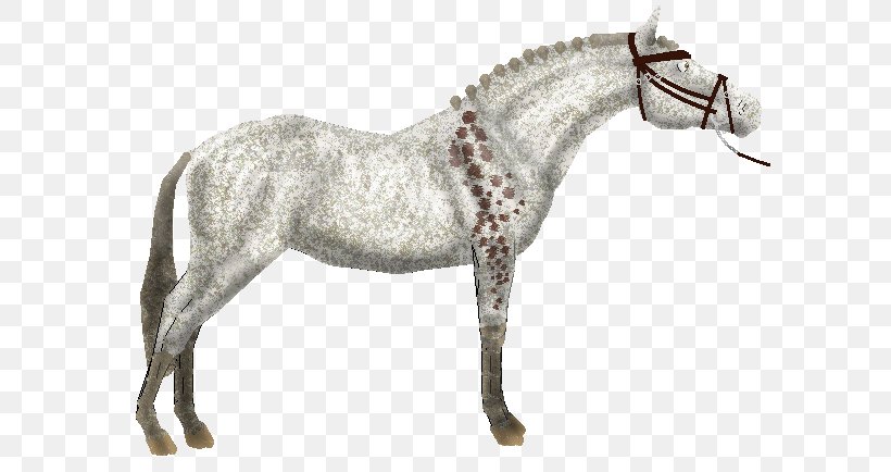 Mane Mustang Stallion Rein Pony, PNG, 598x434px, Mane, Animal Figure, Bridle, Dog Harness, Halter Download Free