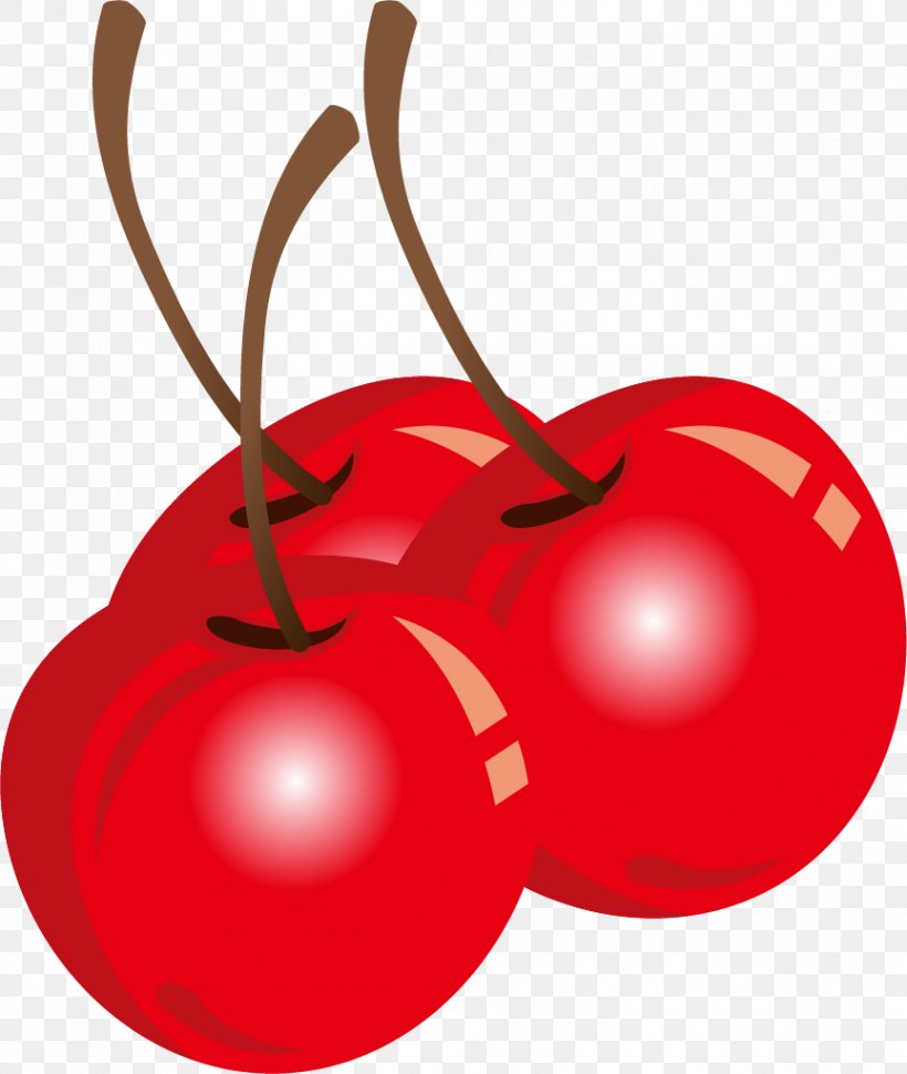 Tomato Clip Art, PNG, 864x1023px, Tomato, Apple, Blue, Cherry, Color Download Free