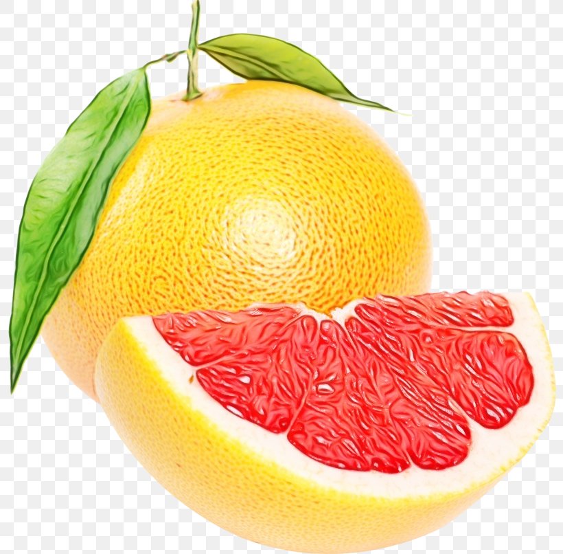 Lemon Drawing, PNG, 800x806px, Grapefruit, Accessory Fruit, Bitter Orange, Citric Acid, Citron Download Free