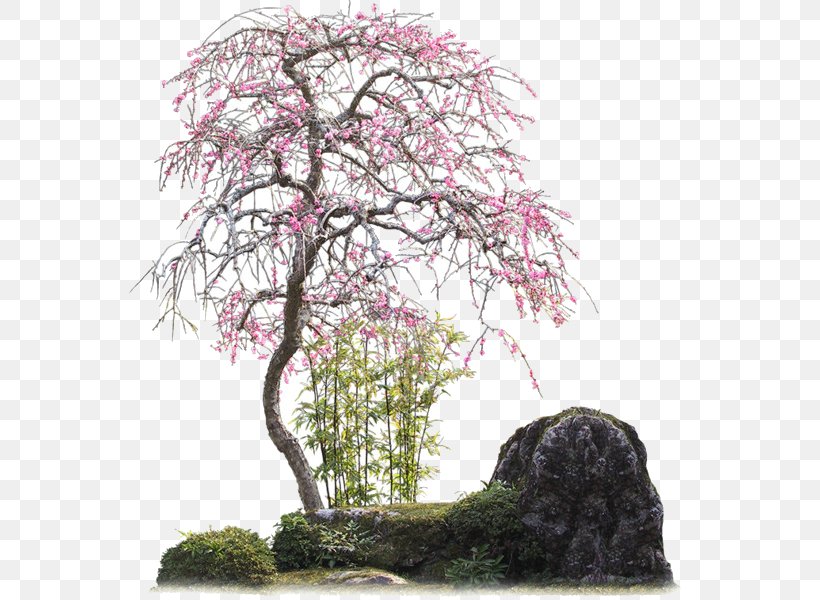 Clip Art Tree Psd Shrub, PNG, 600x600px, Tree, Bonsai, Branch, Flower, Garden Download Free