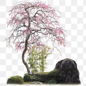 Tree - Clip Art Tree Psd Shrub PNG