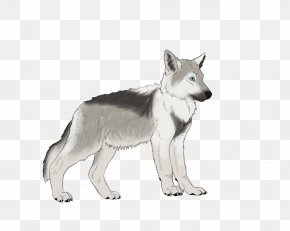 Puppy - Saarloos Wolfdog Czechoslovakian Wolfdog German Shepherd Siberian Husky Puppy PNG