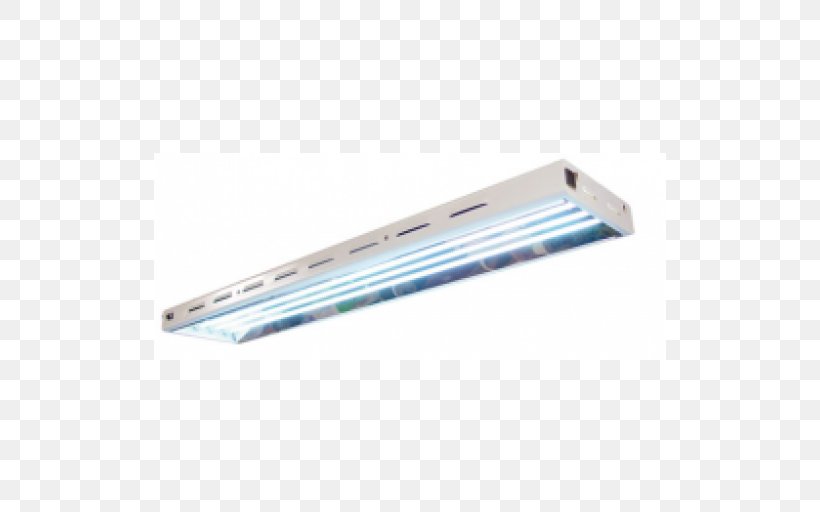 Fluorescent Lamp Fluorescence, PNG, 512x512px, Fluorescent Lamp, Fluorescence, Lamp, Lighting Download Free