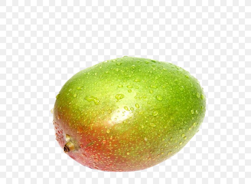Fruit Food Mango Guava Eating, PNG, 560x600px, Fruit, Apple, Auglis, Avocado, Citrus Download Free