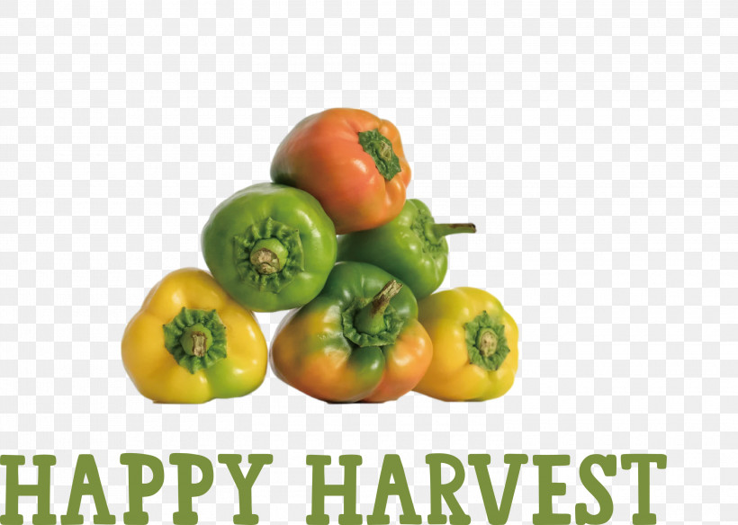 Happy Harvest Harvest Time, PNG, 3000x2139px, Happy Harvest, Bell Pepper, Bush Tomato, Chili Pepper, Cooking Download Free