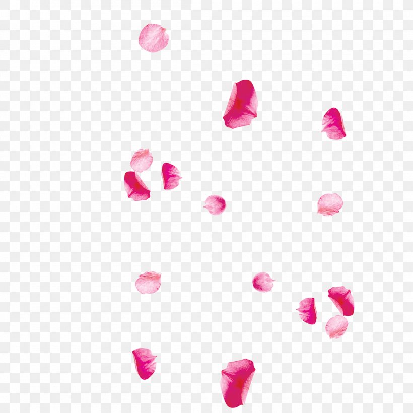 Petal Pink Image Design, PNG, 1100x1100px, Petal, Beach Rose, Color, Designer, Flower Download Free