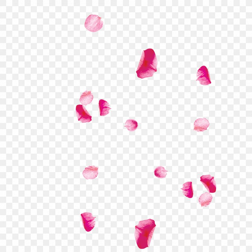 Petal Pink Image Design, PNG, 1100x1100px, Petal, Beach Rose, Color ...