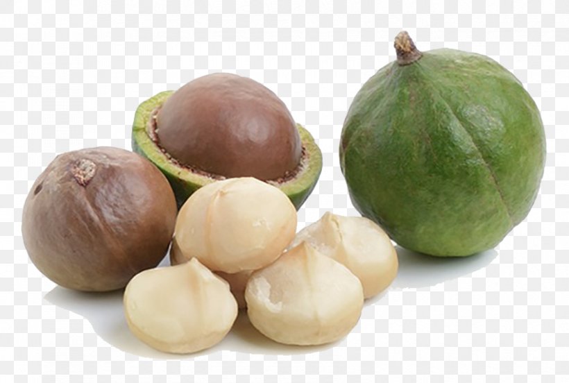 Walnut Macadamia Nut NaturaZen Srls, PNG, 850x573px, Walnut, Biscuit, Food, Fruit, Hazelnut Download Free